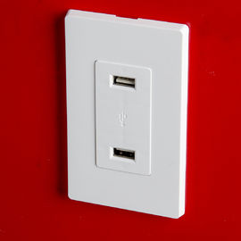 LD-U001 4.2A presa di carica USB ad alta velocità intelligente, 2 porte USB con 2 piastre a parete