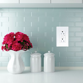 LD -U001 4.2A Smart High Speed USB Charger Outlet 2 porte USB con 2 piastre a parete