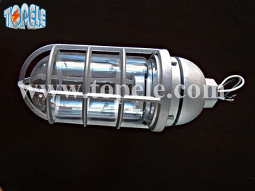 100W 220V Grigio Bronzo IP65 luci anti vapore Die - alluminio fuso